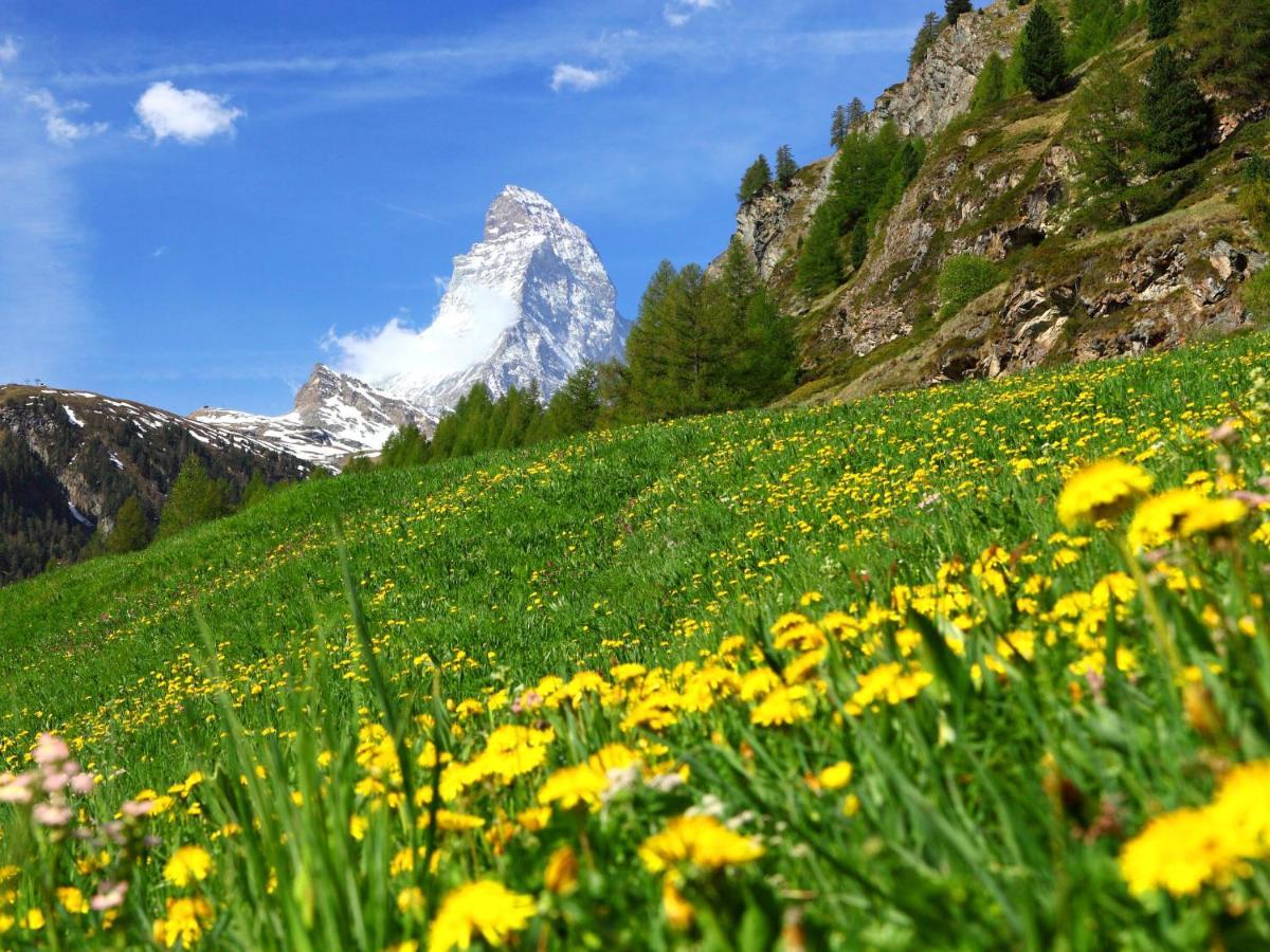 Apartment Beaulieu-2 By Interhome Zermatt